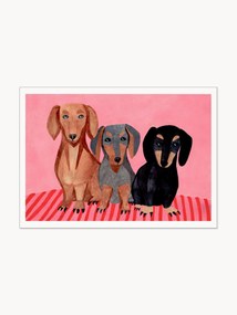 Poster Dachshunds