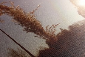 Stampa su tela – Atmosfera autunnale