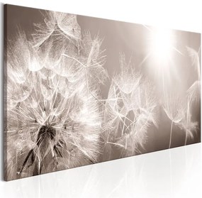 Quadro Summer Dandelions  Colore bianco e nero, Dimensioni e Misure 135x45