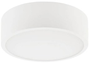 Plafoniera DANTE 1xE27/60W/230V diametro 26 cm bianco