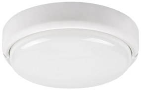 Rabalux 7406 - Lampada LED da soffitto esterna HORT LED/15W/230V IP54 bianco