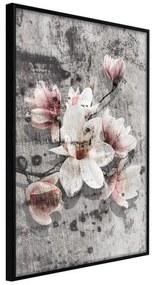 Poster  Flowers on Concrete  Cornice Quadri Cornice nera, Larghezza x Altezza Home decor 20x30