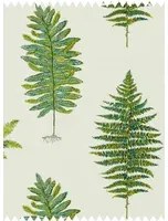 Sanderson Stoff Fernery Embroidery - Botanical Green