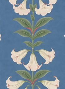 Cole & Son Carta da parati Angels Trumpet - Ballet Slipper/ Sage on Cerulean Sky