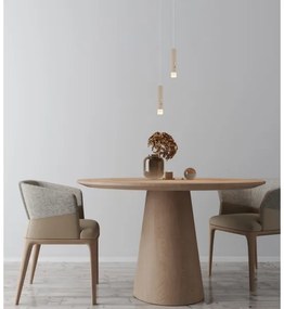 Globo 16060S - Lampada LED dimmerabile ricaricabile a sfioramento 2 in 1 PELO LED/2W/230/5V