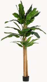 Pianta artificiale da esterno Banana, alt. 320 cm