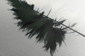 Stampa su tela – Albero sempreverde minimalista