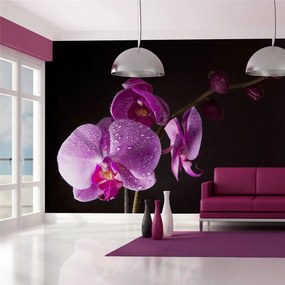 Fotomurale di buon gusto orchidea