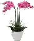 Orchidea Artificiale Con Vaso Bianco H 60 Cm