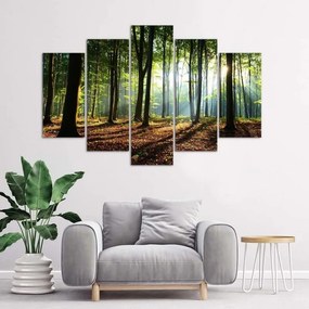 Quadri Quadro 5 pezzi Stampa su tela Foresta Verde Natura  Dimensioni 100x70