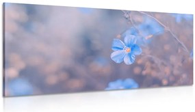 Quadro su tela – Fiori blu su sfondo vintage