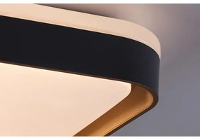 Rabalux 71029 - Plafoniera LED LIATRIS LED/26W/230V 3000K