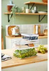 Organizer da frigo in plastica Cauma - Rotho