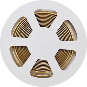 Striscia LED COB 24V 14W/m CRI>92 Professionale IP20 - 5 metri