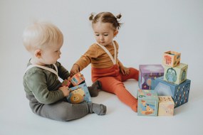 Cubi da sovrapporre - piramide - madri e cuccioli