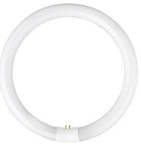 Lampada fluorescente YH G10q/28W/230V 6500K - Fulgur 03045 diametro 23 cm