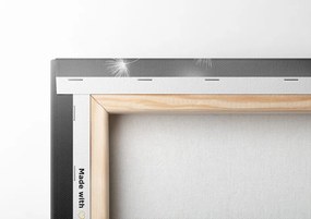 Quadro su tela – Dente di leone soffice in bianco e nero
