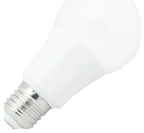 Lampada LED E27 A60 105W Colore Bianco Caldo 2.700K