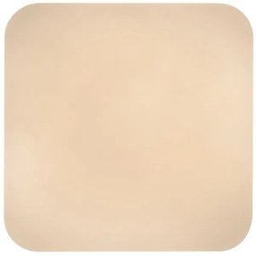 Rabalux 71109 - Plafoniera LED VENDEL 24W 230V 3000K 37x37 cm