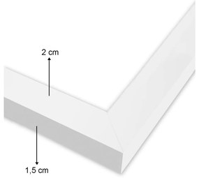 Dipinto 24x29 cm Flat White - Wallity