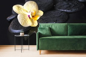 Carta da parati – Pietre Zen con orchidea gialla