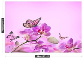 Carta da parati Farfalla orchidea 104x70 cm