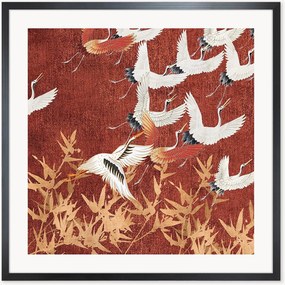 Quadro Shiroi Hane