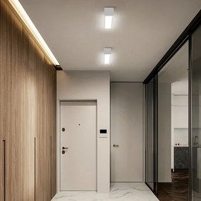 Immax NEO 07257L - Lampada LED dimmerabile LUNGO 20W/230V Wi-Fi Tuya bianco + DO