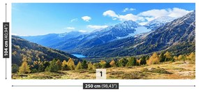 Carta da parati Alpi della montagna 104x70 cm