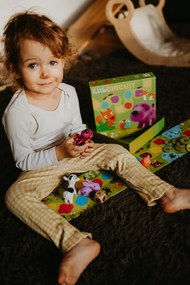 Percorso con gli animali