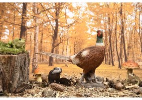 Statua da giardino in poliresina Frog - Esschert Design