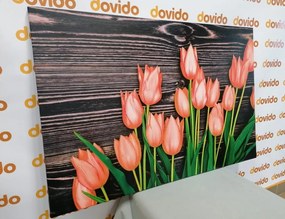 Stampa su tela – Incantevoli tulipani arancioni su sfondo di legno