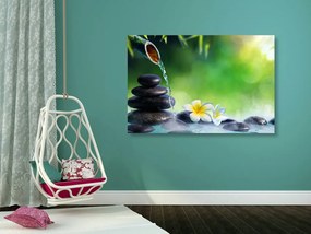 Quadro su tela – Armonia nel giardino Zen