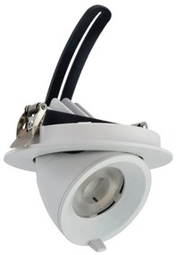 Faro LED da Incasso 15W Orientabile foro Ø100mm con driver Philips Colore Bianco Naturale 4.000K