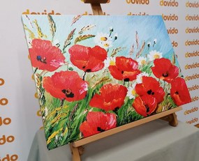 Stampa su tela – Papaveri di campo dipinti