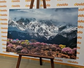 Stampa su tela – Paesaggio montano unico