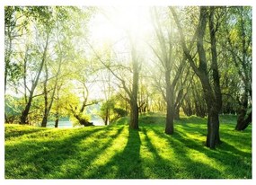 Fotomurale adesivo Sunny May Day