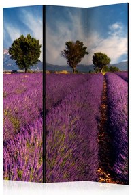 Paravento design Campo di lavanda: Francia (3 parti) - paesaggio viola di lavanda