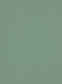 Terrastone Rustique floor - 15kg - 81 - Tanne