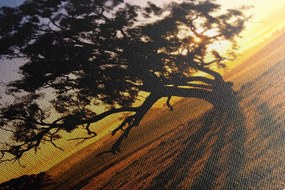 Quadro su tela – Albero solitario al tramonto