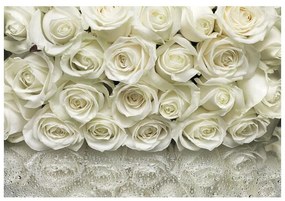 Fotomurale La Rose, multicolore