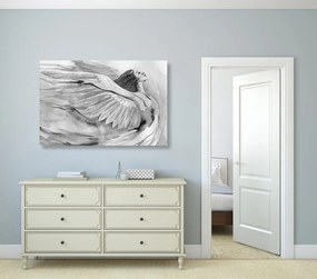 Quadro su tela – Angelo libero in bianco e nero