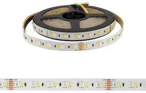 Striscia LED Professional - RGB + CCT (bianco Variabile)  - IP20 - 20W/m - 5m - 24V Colore RGB+CCT