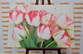Stampa su tela – Tulipani primaverili
