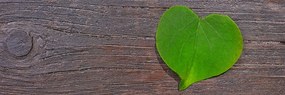 Stampa su tela – Foglia a forma di cuore su sfondo di legno