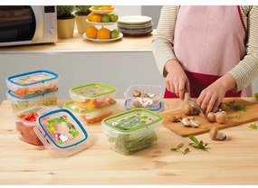 Set di 2 scatole per alimenti , 0,6 l - Snips