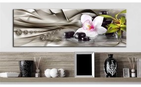 Quadro Composizione Zen  orchidea, bambù e pietre  Colore Beige, Dimensioni e Misure 135x45