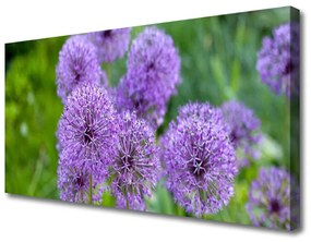 Foto quadro su tela Fiori viola del prato 100x50 cm