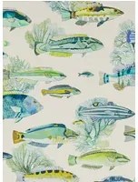 Manuel Canovas Carta da parati Fidji - Aqua
