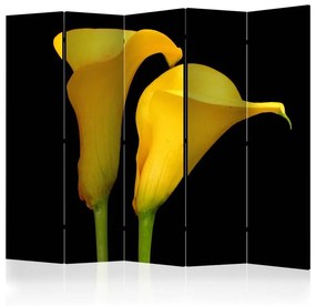 Paravento Two yellow calla flowers on a black background II [Room Dividers]